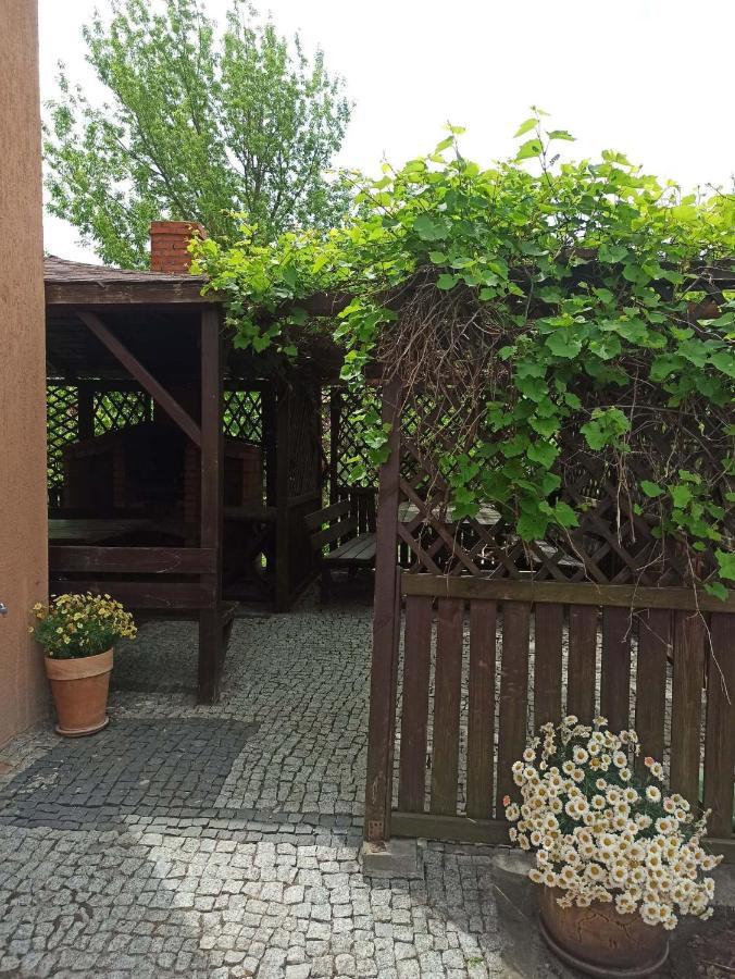 Noclegi Na Portowej Sandomierz Exteriör bild